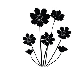 Cosmos  silhouette vector illustration