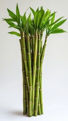 Serene bamboo stalks with lush green leaves against a bright white backdrop in a vertical composition showcasing nature's beauty and tranquility