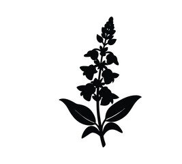 Snapdragon silhouette vector illustration