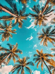 Photo of a blue sky with palm trees