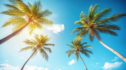 Serene tropical island paradise with tall palm trees reaching towards a vibrant blue sky creating a tranquil vacation mood