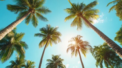 Fototapeta premium Tranquil azure sky framed by majestic palm trees creating a tropical paradise with vibrant green foliage and warm sunlight evoking a sense of vacation