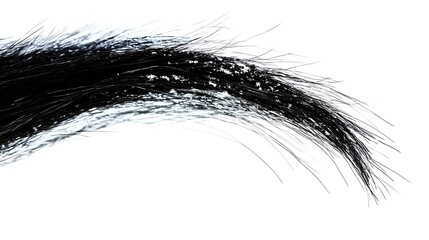 Obraz premium Close-up of black hair with white powder.