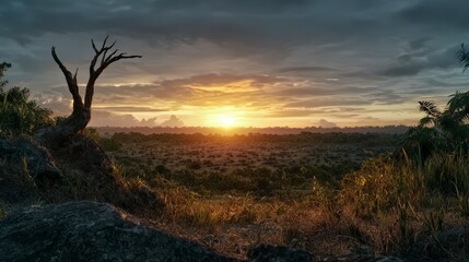 Obraz premium Sunset landscape exploration in nature vast open sky tranquil scenery serene environment