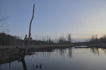 reflection in the water