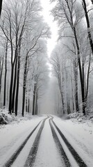 Obraz premium Snowy road, winter forest, fog, calm