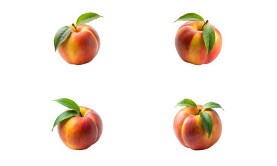 Peach fruit isolated, Fruits collection, Collection set of cut peach fruits and leaves isolated
