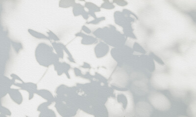 Rose leaf shadow. Shadows and light from sunlight of natural rose leaf tree branch plant , grey...