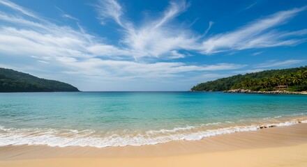 tropical beach in summer