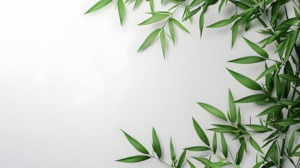 Fototapeta premium Vibrant green leaves of a healthy plant surrounded by natural light showcasing nature's beauty and freshness