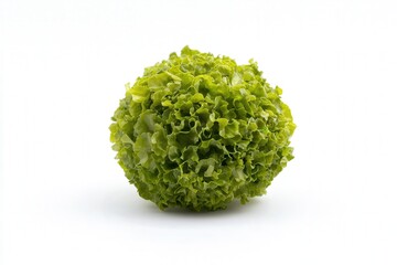 Fresh green lettuce head on a white background.