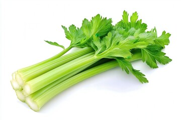 Fresh green celery stalks on a white background.
