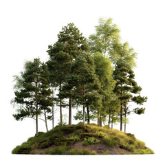 Fototapeta premium Lush Green Trees on a Small Hill Surrounded by Grass and Bright Vegetation in Natural Setting