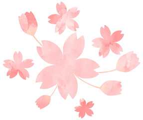 Watercolor pink cherry blossom