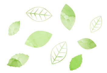 watercolor green leaves