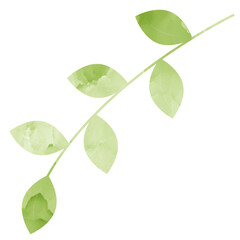 watercolor green leaves
