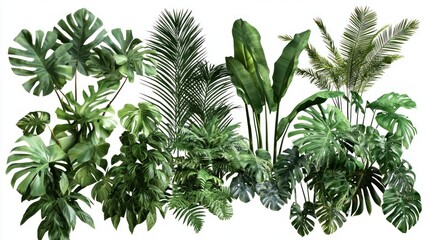 Vibrant Tropical Plants Collection