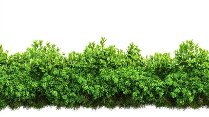 Obraz premium Lush Vibrant Green Moss Collection