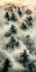 Obraz premium Explo a Mystical Forest Amidst Rusted Giants and Smoke-Kissed Skies with Mysterious Swirling Mists and Evergreens