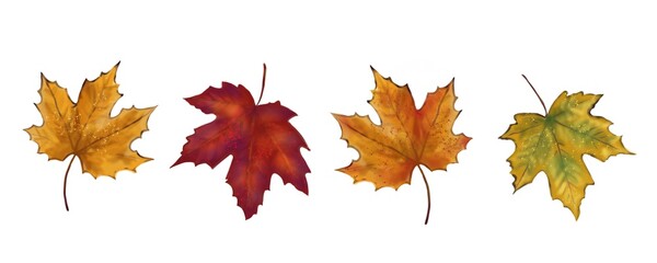 This digital illustration features four autumn maple leaves in shades of gold, red, and green with delicate details and textures. The soft glow and subtle speckles enhance their natural beauty and sea