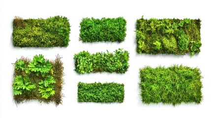 Lush Green Moss with Dense Texture Collection