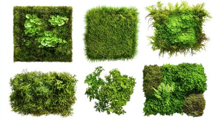 Lush Green Moss with Dense Texture Collection