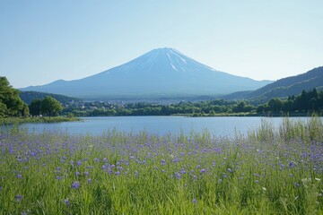 Obraz premium mount fuji in japan