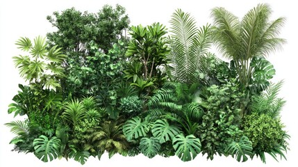 Lush Tropical Garden Wall Collection