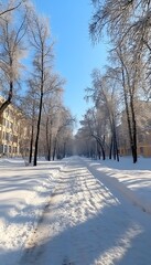Snowy path, winter trees, city buildings, sunny day, postcard