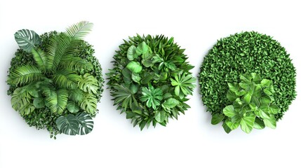 Fototapeta premium Circular Tropical Garden Wall Panels Collection