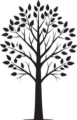  Elegant Black Silhouette of a Tree with Branches and Leaves