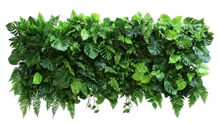Obraz premium Lush Green Leaves Frame Collection