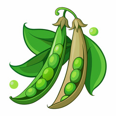  High-quality sugar snap peas vector, perfect for food illustrations, menus, and digital designs.