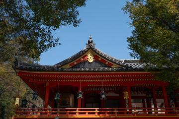 日本、京都、清水八幡宮、神社、銅燈籠、獻燈、青空、建築、木