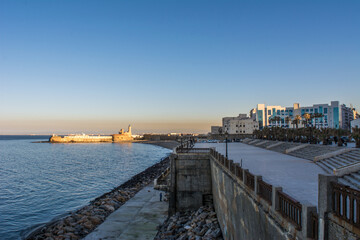 Fototapeta premium Alger the capital city of Algeria, North Africa, city centre of Algiers, the capital of Algeria, Landscape of Algiers city With port and mediterranean sea and white buildings, Arab Maghreb Africa.