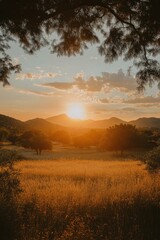 Fototapeta premium Golden hour paints the landscape with warm light as the sun sets behind distant mountains and a field of golden grass