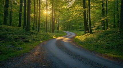 Obraz premium Winding forest path at sunrise