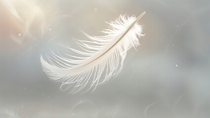 A white feather floats gracefully in a calm environment, illuminated by soft, diffused light. The scene evokes a sense of tranquility and purity in nature