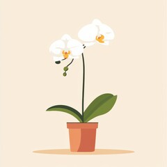 Elegant White Orchid in a Simple Pot on a Soft Beige Background