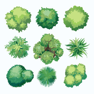 Ensemble de 9 Ic&ocirc;nes d'Arbres et d'Arbustes pour Plans de Jardins et Architecture Vus de dessus, Nature et V&eacute;g&eacute;tation Couleur Vert Vecteur