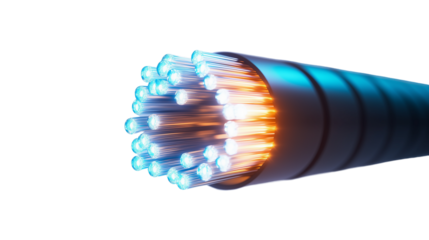 Close-up of Fiber Optic Cable – Transparent Background