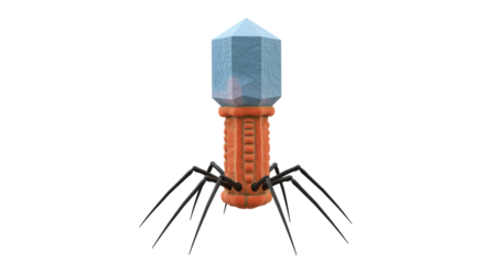 Isolated Bacteriophage Virus with Blue Head and Orange Body