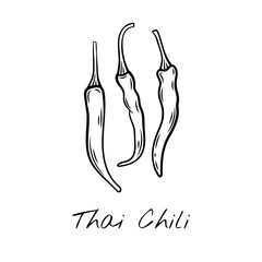 Hand-drawn black and white vector illustration of Thai chili peppers, whole and sliced. Perfect for food packaging, restaurant menus, and spicy ingredient branding.
