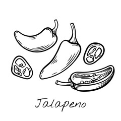 Hand-drawn black and white vector illustration of jalapeño peppers, whole and sliced. Vintage engraving-style, perfect for food packaging, restaurant menus, and spicy ingredient branding.