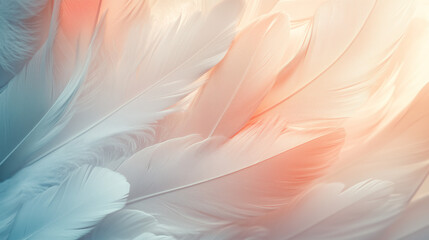 colorful feathers background