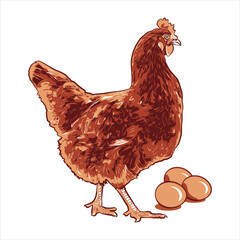 Layer hen vector art colorful image in white background.