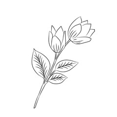 Beautiful tulips. Red bud tulips, spring flower bouquet, floral elements for greeting cards, brochures and more.