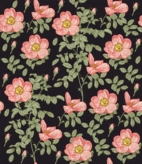 Seamless pattern Rosehip Rose fabric blooming realistic isolated flowers. Vintage background. Set Jasmine wildflowers. Wallpaper baroque. Drawing engraving. Vector illustration © Наталья Лобенко