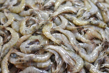 fresh shrimp at the traditional market