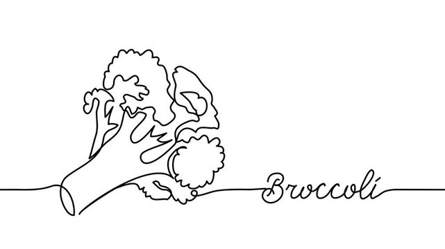 Broccoli single line animated illustration. One continuous self drawing line animation, footage with broccoli lettering